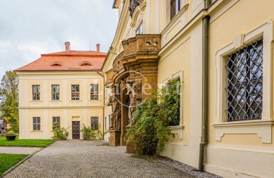 Château à vendre Mirošov, Zámek Mirošov, Plzeňský kraj, Image 28/30