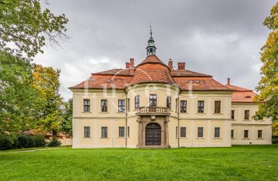 Château à vendre Mirošov, Zámek Mirošov, Plzeňský kraj, Vue de l'arrière