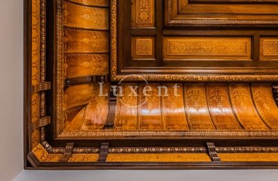 Château à vendre Mirošov, Zámek Mirošov, Plzeňský kraj, Image 13/30