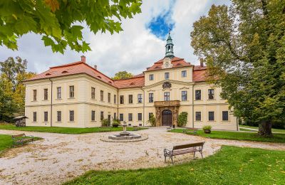Château à vendre Mirošov, Zámek Mirošov, okres Rokycany, Vue frontale