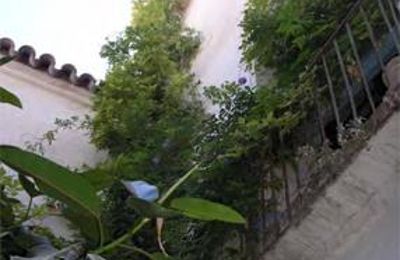 Manoir à vendre Córdoba, Plaza Séneca  3, Andalousie, Image 8/9