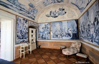 Château à vendre Prague, Image 8/19