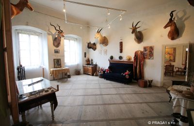 Château à vendre Prague, Image 10/19