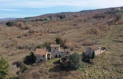 Ferme à vendre 06019 Umbertide, Ombrie:  