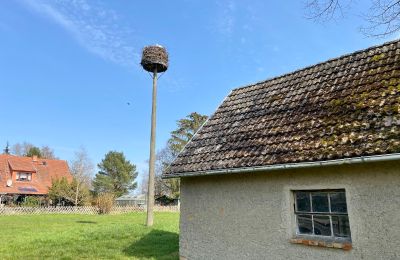 Immobilier historique à vendre Goddin:  