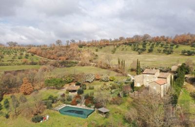 Ferme à vendre Città di Castello, Ombrie:  