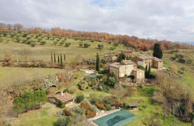 Ferme à vendre Città di Castello, Ombrie:  