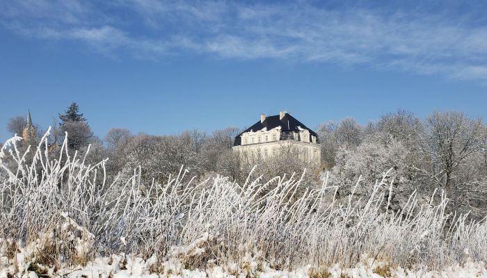 Château à vendre Piszkowice, Basse-Silésie
