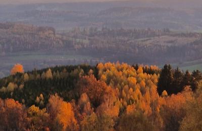 Château à vendre Piszkowice, Basse-Silésie, Image 23/28