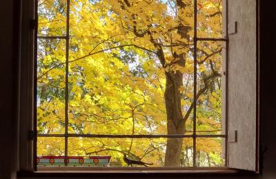 Château à vendre Piszkowice, Basse-Silésie, Image 25/28