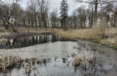Manoir à vendre Bolkowice, Poméranie occidentale, Lac/étang