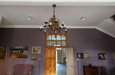 Château à vendre Sławnikowice, Slawnikowice 99, Basse-Silésie, Image 19/23