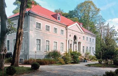 Château à vendre Sławnikowice, Slawnikowice 99, Basse-Silésie, Vue latérale