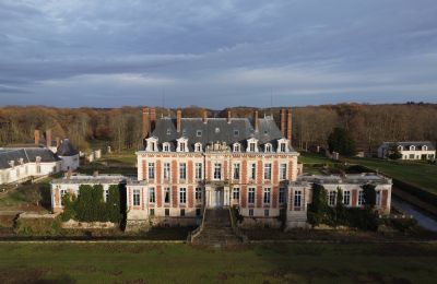 Propriétés, Magnifique château près de Paris avec 59 hectares de terrain
