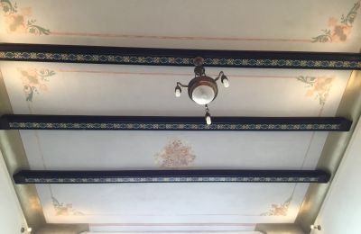 Demeure historique à vendre Strzelin, Kazanów 21, Basse-Silésie, Image 9/35
