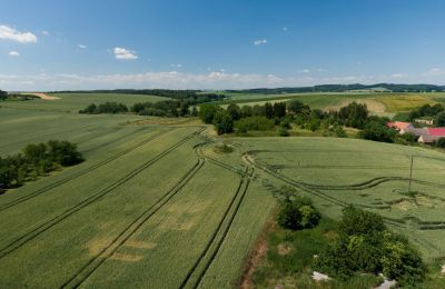 Demeure historique à vendre Strzelin, Kazanów 21, Basse-Silésie, Image 33/35