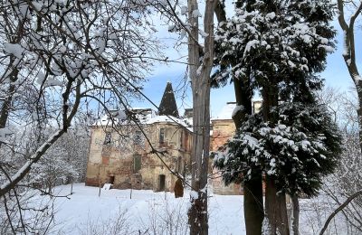 Château à vendre Komorowice, Wrocławska 27, Basse-Silésie, Image 33/36