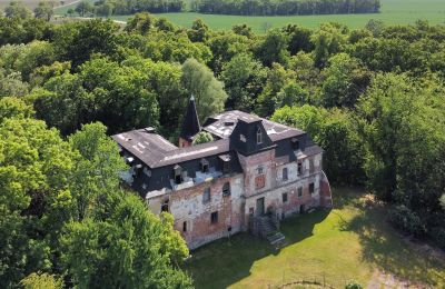 Château à vendre Komorowice, Wrocławska 27, Basse-Silésie:  Vue extérieure
