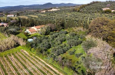 Maison de campagne à vendre Castagneto Carducci, Toscane:  RIf 3057 Anwesen und Olivenbäume