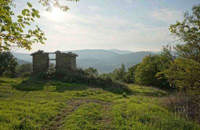 Propriétés, Ferme avec 15 hectares de terrain près de Preggio, Ombrie