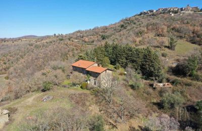 Maison de campagne à vendre 06019 Preggio, Ombrie, Image 6/30