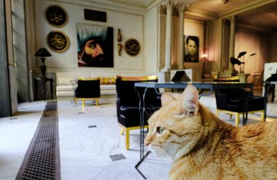 Demeure historique à vendre İstanbul, Tom Tom, Nur-i Ziya Sokak, Image 6/33