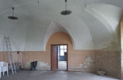 Château à vendre Pisarzowice, Opole, Vue intérieure 1