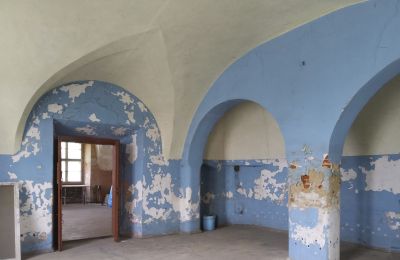 Château à vendre Pisarzowice, Opole, Vue intérieure 2