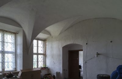 Château à vendre Pisarzowice, Opole, Image 9/17
