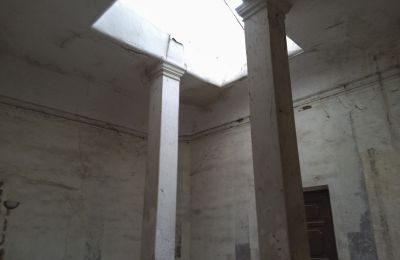 Château à vendre Pisarzowice, Opole, Image 10/17