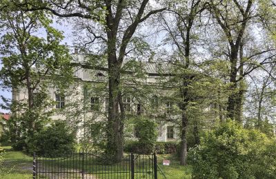 Château à vendre Pisarzowice, Opole, Image 17/17