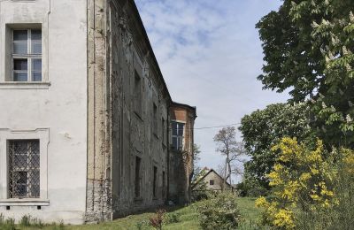 Château à vendre Pisarzowice, Opole, Image 16/17