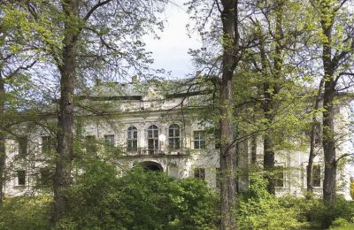 Château à vendre Pisarzowice, Opole, Vue extérieure