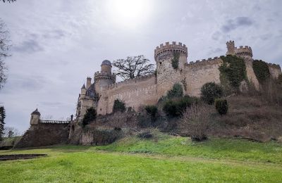 Château à vendre Veauce, Auvergne-Rhône-Alpes:  