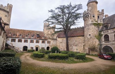 Château à vendre Veauce, Auvergne-Rhône-Alpes:  