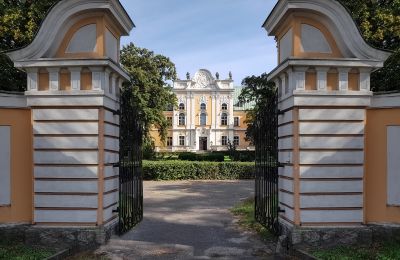 Château à vendre Czempiń, Grande-Pologne, Accès