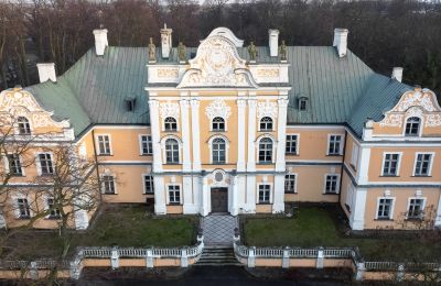 Château à vendre Czempiń, Grande-Pologne, Photo Drone