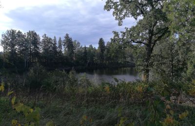 Manoir à vendre Nogale, Kurzeme, Image 8/20