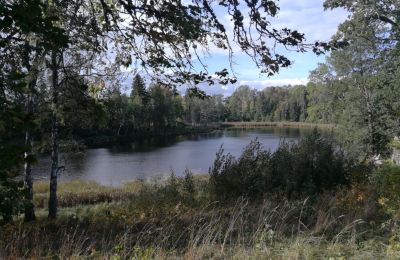 Manoir à vendre Nogale, Kurzeme, Image 7/20