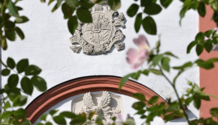 Château à vendre 91792 Ellingen, Bavière