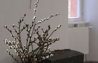 Château à vendre 91792 Ellingen, An der Vogtei 2, Bavière, Image 12/61