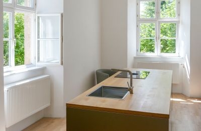 Château à vendre 91792 Ellingen, An der Vogtei 2, Bavière, Cuisine