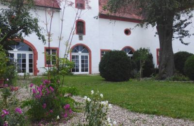Château à vendre 91792 Ellingen, An der Vogtei 2, Bavière, Löwenmäulchen