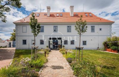 Château à vendre České Budějovice, Jihočeský kraj:  Vue frontale