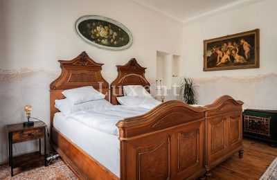 Château à vendre České Budějovice, Jihočeský kraj:  