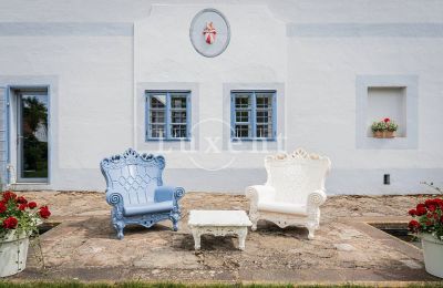 Château à vendre České Budějovice, Jihočeský kraj, Image 28/45