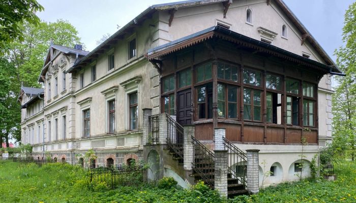 Château à vendre Stradzewo, Poméranie occidentale,  Pologne