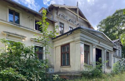Château à vendre Stradzewo, Pałac w Stradzewie, Poméranie occidentale, Entrée