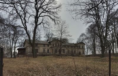 Château à vendre Stradzewo, Pałac w Stradzewie, Poméranie occidentale, Parc