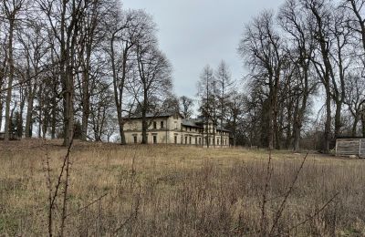 Château à vendre Stradzewo, Pałac w Stradzewie, Poméranie occidentale:  